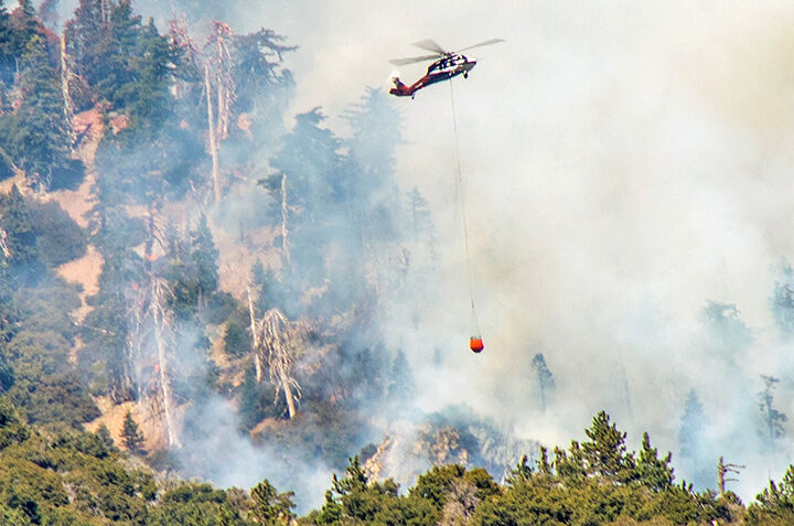 Apple Fire - The Battle for Forest Falls
